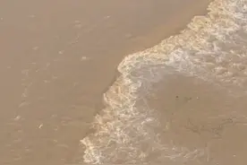 飞越泰安·航拍泰山丨泰安大汶河上再现“水漫明石桥”的景观图片