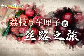 香飘“一带一路”｜荔枝与车厘子的丝路之旅图片