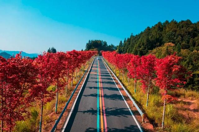 来赣州，赏景、观枫，写首秋日的诗......