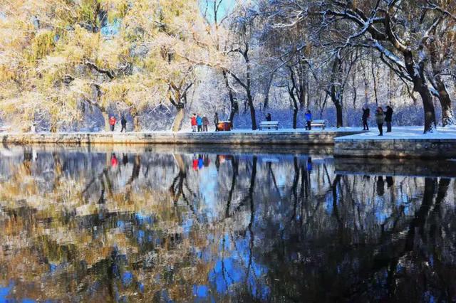 沈阳文旅宣布,免费送票!