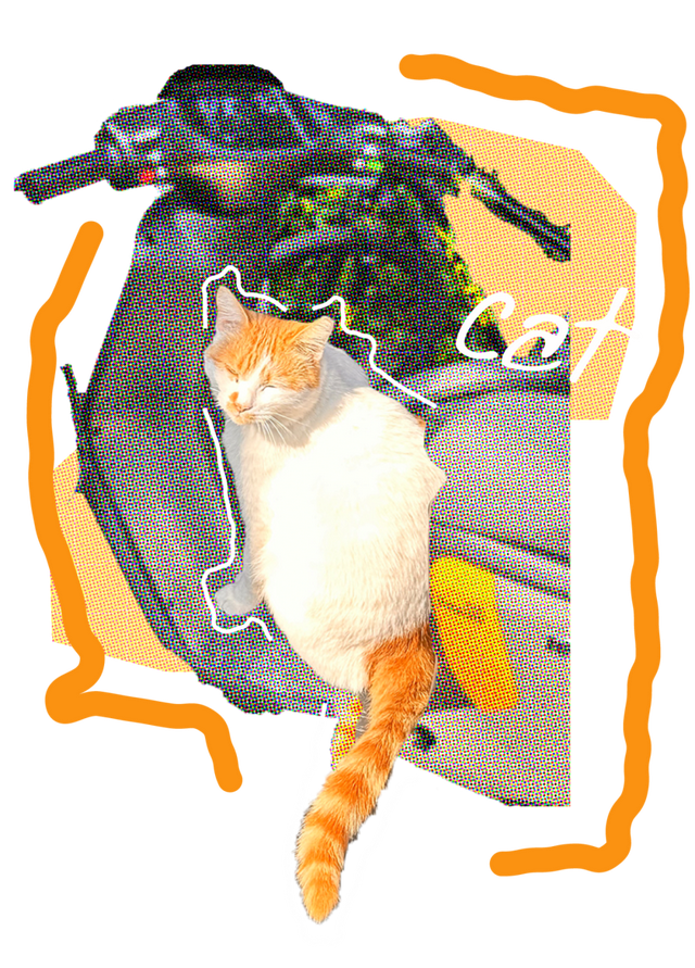 闵行的晚秋，太温柔