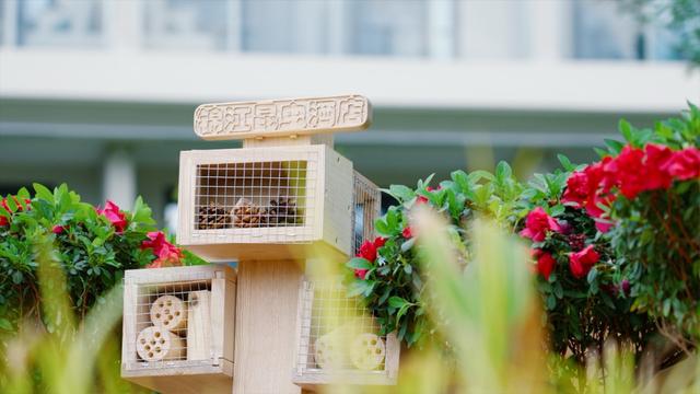 倡导环保与在地文化体验，“可持续住宿”重新定义高品质旅行