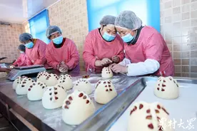 “馒头大妈”变身面“教头”，带出花饽饽人才3000多人图片