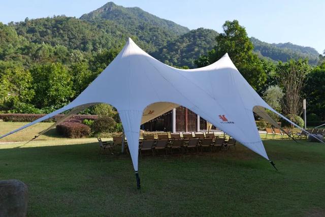 广东新晋网红地！浪漫花海、直升机飞行、地道美食…三水这个地方藏不住了