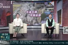 乐高乐园商业街结构封顶 周边配套日趋成熟视频封面