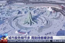 “超级冰滑梯”可预约！尔滨“花式宠客”翻新了图片