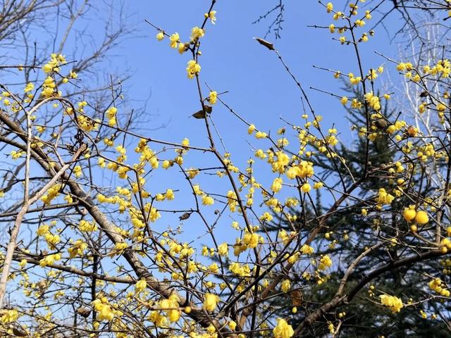 “Mei，我在连云港想开了！”