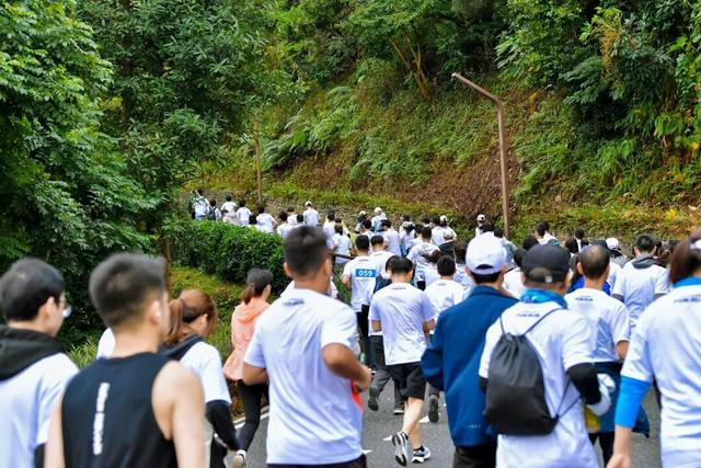 在龙华，公园是这么逛的