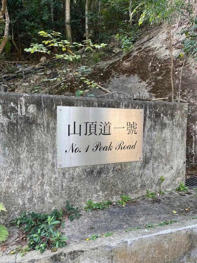 金庸曾住11年的香港豪宅内发生命案