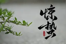 随手抓住一整个春天图片