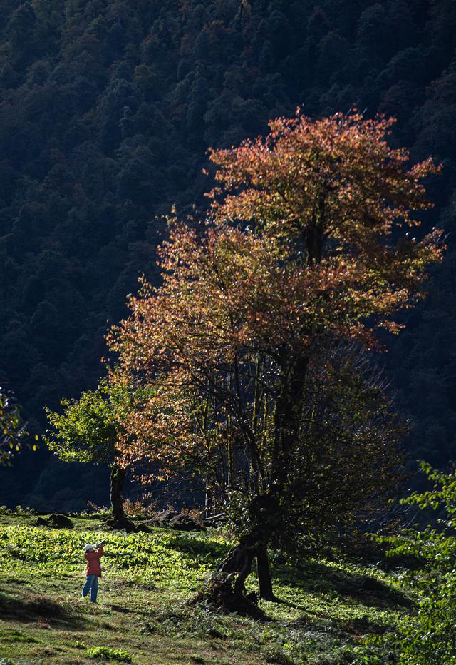 四川峨边：黑竹沟美景醉游人