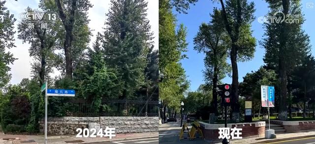 历史可阅读、文化可感知、业态可活化……百年老街焕新颜 文旅与商业活力迸发