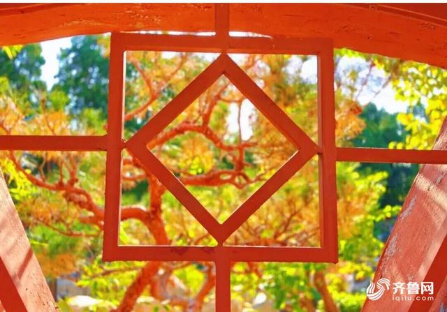 组图丨一大波美图来袭！泰山景区9个赏秋地超出片