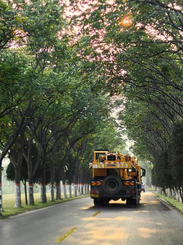 龙亭区柳园口乡 · 开封“呼伦贝尔”的秋之请柬！