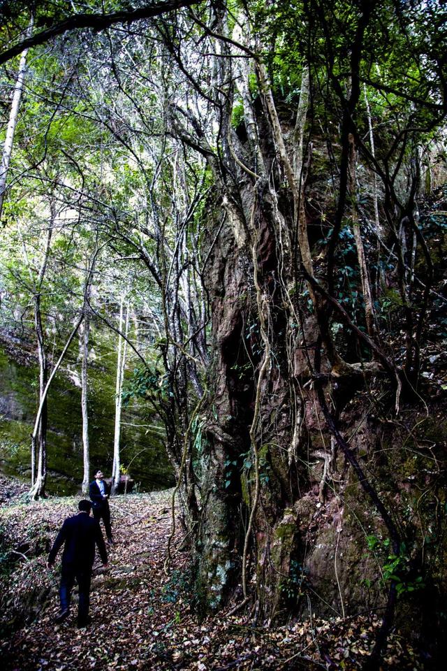 梅岩双溪书屋考