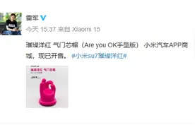 小米汽车推出“Are you OK手型版”气门芯帽图片