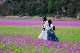 “宁”静山城 “蒗”漫彝乡｜官方推荐！宁蒗这条“生态观光之旅”特色线路，人间值得！图片