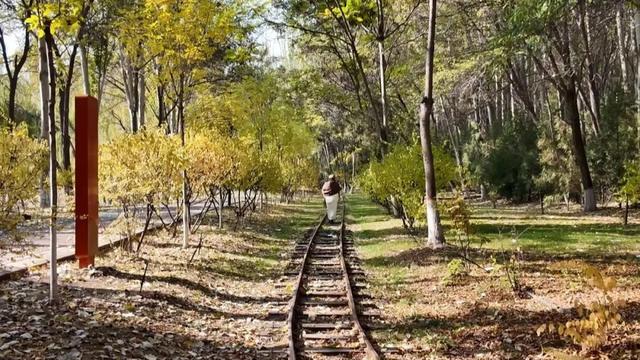 聚焦 || 银川全面入冬了？不！这里把“秋天”留下了……