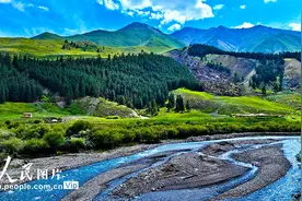 甘肃肃南：夏日祁连山国家公园景色迷人图片