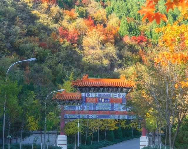 五彩斑斓！北京“漫山红叶”进最佳观赏期!