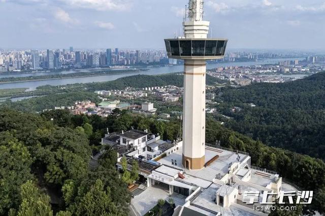 即将上新！岳麓山上见！