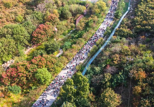 “好运山东”2025临沂市“走遍蒙山沂水”万人登山拾秋活动圆满举行