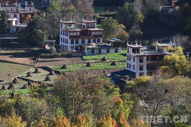 “云端藏寨”走向世界 基卡依村交出幸福答卷