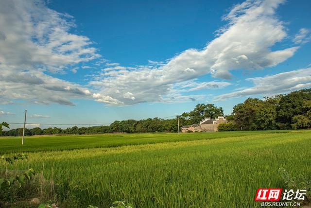 岁暖时刻丨秋访茶源渡：一段隐藏在山水间的峥嵘岁月