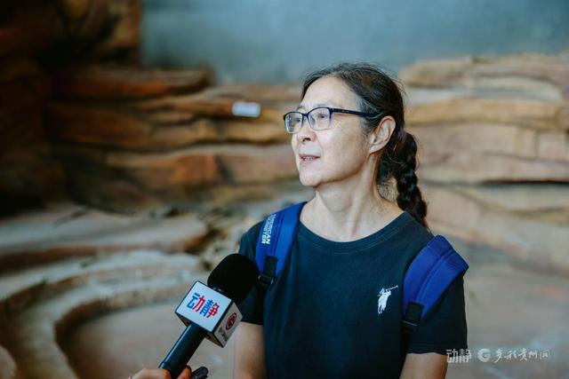 寓教于乐的亲子游如何玩？来看贵州这个恐龙小镇的多维度沉浸式研学