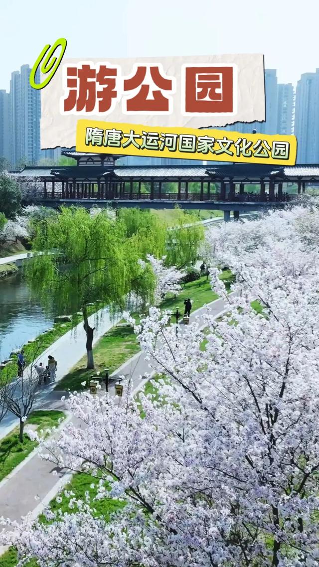 【文旅瀍河】包好逛的！瀍河这些宝藏地，每一个都值得奔赴