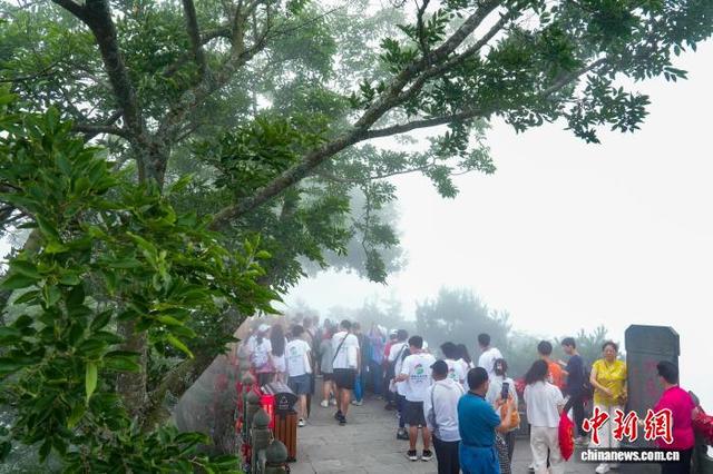 海外华裔青少年登顶武当山享清凉