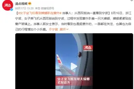 从西双版纳起飞，一只蟑螂趴飞机舷窗旅行3000公里！图片