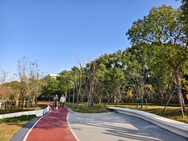 一树一景一步道，宝山这条生态步道升级，遛弯超惬意～