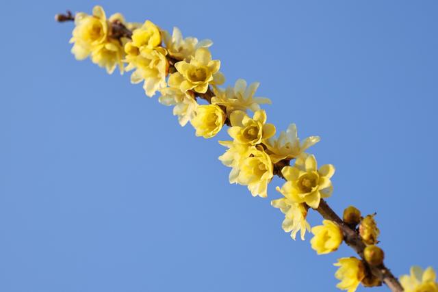 “Mei，我在连云港想开了！”