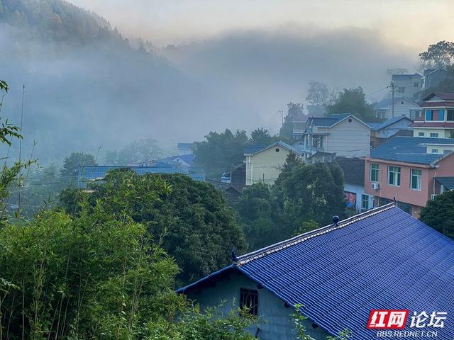 岁暖时刻丨雾锁湘西晨色里，一方秘境藏烟火