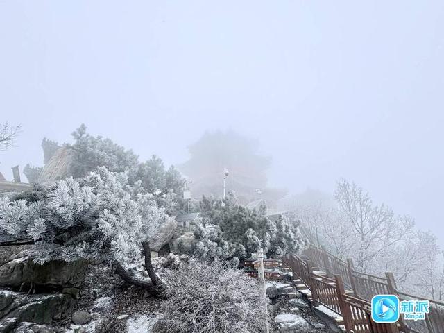一眼心动！沂山再现雾凇奇观