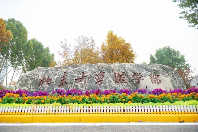 藏不住了！攒了整个秋天的北医美景，立冬前全部分享！