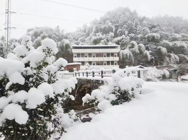多地下雪！广西限定版“冰雪世界”已上线