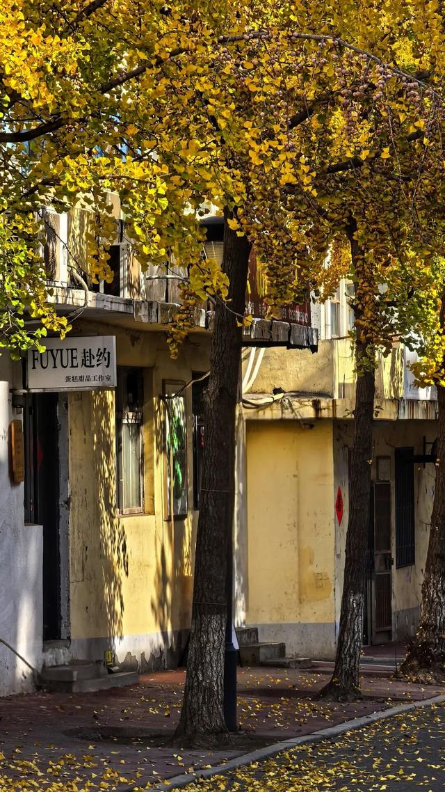 此刻！石臼街道的美景！