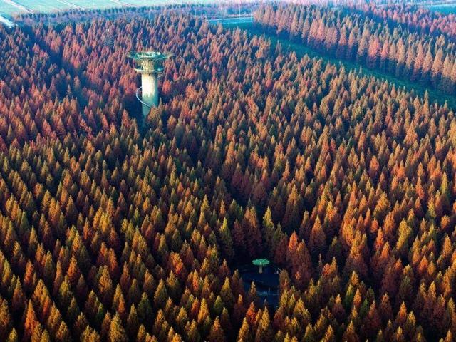 组图|黄海1号，331公里的秋日画廊