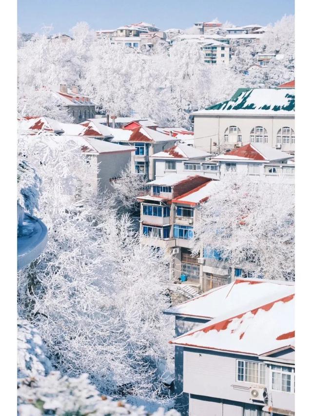 当朱迪尼克来到江西～原来这里也是疯狂动物城！