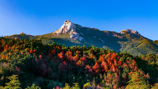 提到家乡韶关，张颂文就是那么“傲娇”！