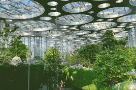 每一帧风景都出片！乘坐公共交通去解锁这些“绿野仙踪”→图片