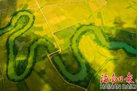 自贸港影像志·地理海南｜湿地之美 只此青绿图片