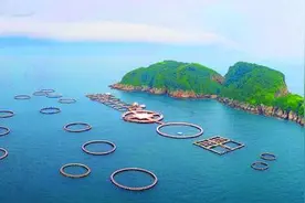 惠州高位推进现代化海洋牧场建设图片
