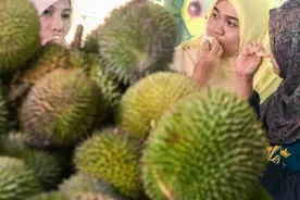 中国批准进口马来西亚鲜食榴梿图片