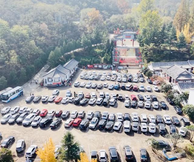 千年银杏引爆秋日灵泉山！两周迎客2万+