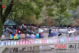 临近春节相亲人气依旧 万松书院择偶热度高图片