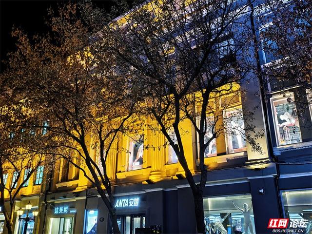 岁暖时刻丨冰城夜未眠：哈尔滨的浪漫从夜晚开始