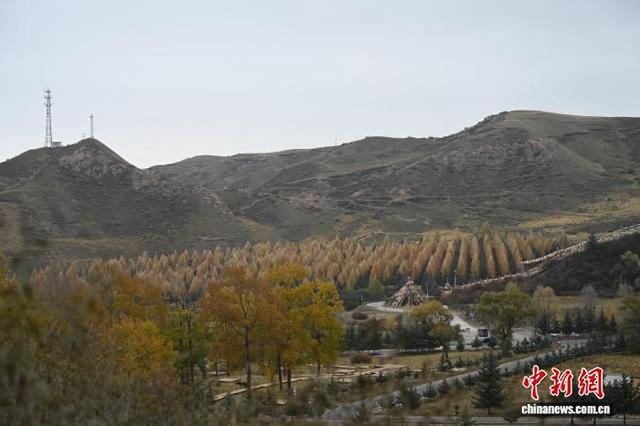 祁连崖壁间秋意尽染“千年古刹”马蹄寺